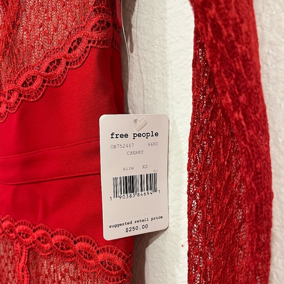 NWT FREE PEOPLE | Lace Mesh Bodycon Embroidered Mini Dress in Cherry | Size XS - Picture 7 of 9